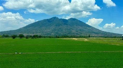 MOUNT ARAYAT (2024) All You Need to Know .
